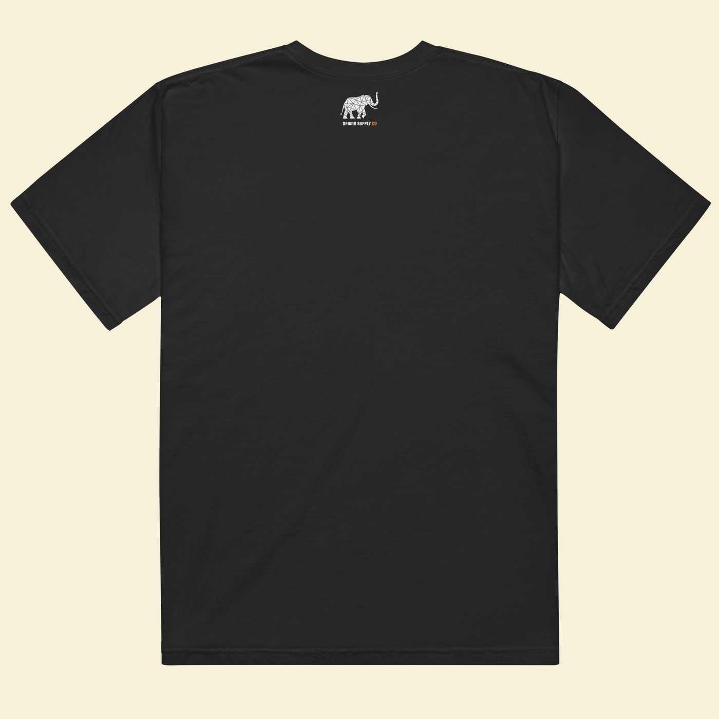 Coachella De Puttar — The Modern Punjabi Tee — Premium Heavyweight