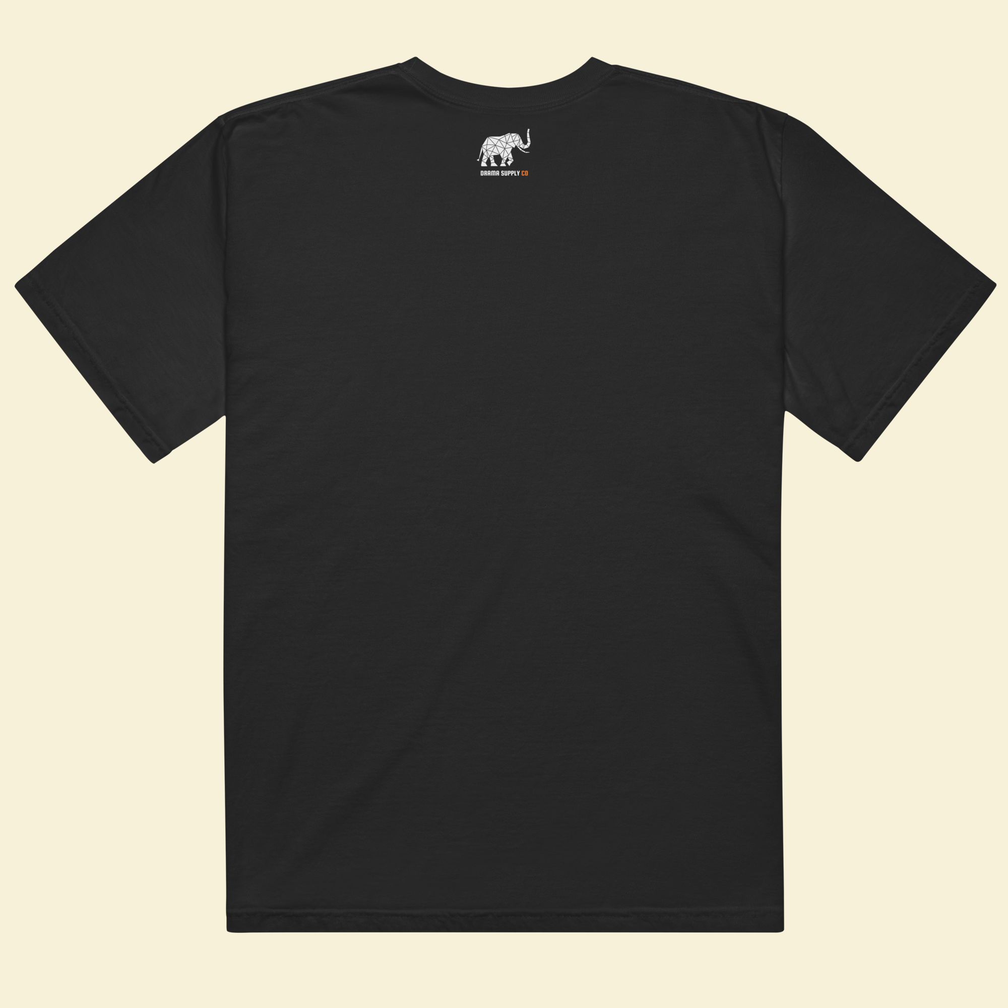 Coachella De Puttar — The Modern Punjabi Tee — Premium Heavyweight